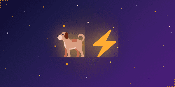 Qual raça de cachorro tem a sua energia? 🐕